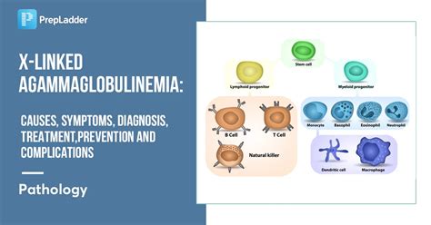 untreated agammaglobulinemia.